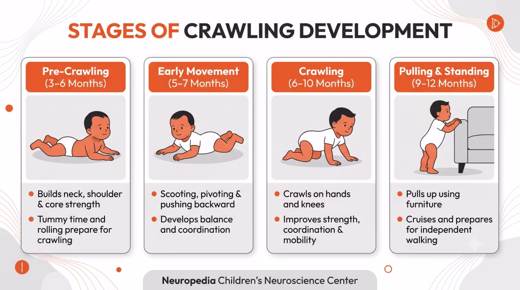 Stages of crawling development